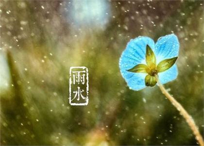 2020年雨水前一天不宜做什么,2020年雨水节气会下雨吗？(图文)