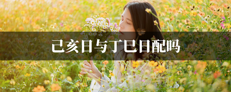 己亥日与丁巳日配吗