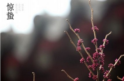 2020鼠年惊蛰订婚好吗？惊蛰节气有什么禁忌？(图文)