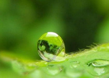 2020年2月19日雨水可以安葬逝者吗,雨水节气如何计算？(图文)