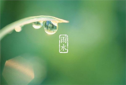 2020年雨水后一天开业好吗,雨水节气忌讳不下雨吗？(图文)