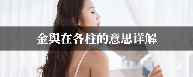 金舆在各柱的意思详解