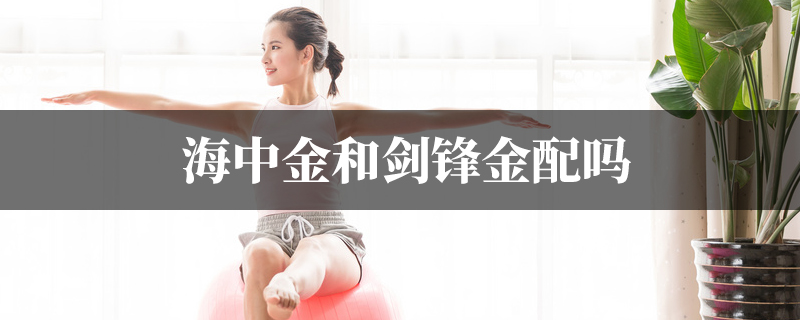 海中金和剑锋金配吗