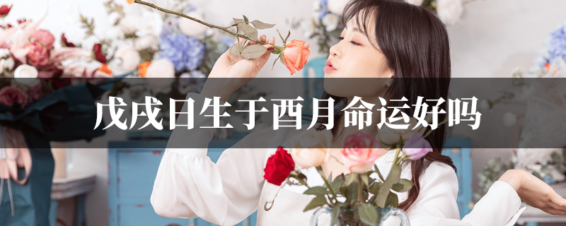 戊戌日生于酉月命运好吗