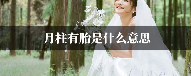 月柱有胎是什麽意思