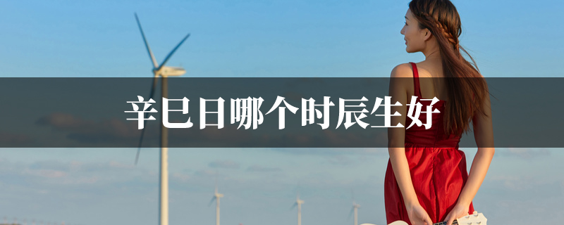 辛巳日哪个时辰生好
