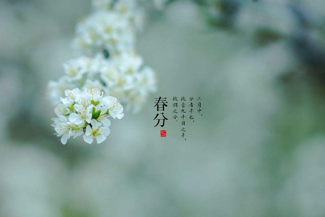 春分出生的宝宝的命运怎么样？春分出生好不好？(图文)