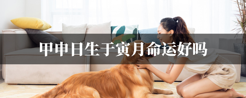 甲申日生于寅月命运好吗