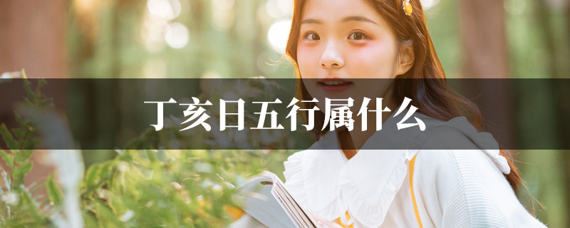 丁亥日五行属什麽