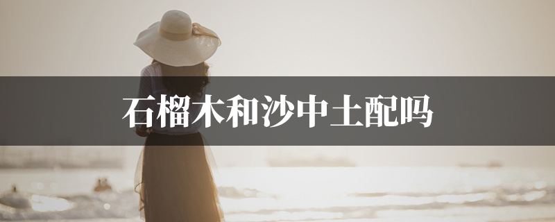 石榴木和沙中土配吗
