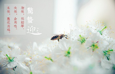 2020庚子鼠年惊蛰搬家好不好？惊蛰节气三候解析(图文)