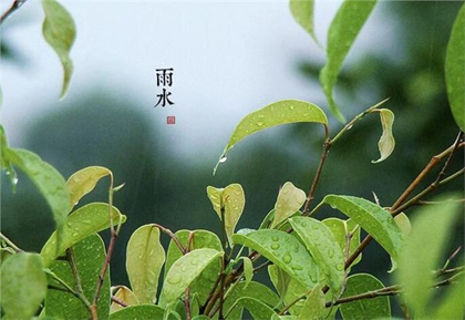 2020年雨水节气可以提车吗,雨水节气回娘家送什么好？(图文)