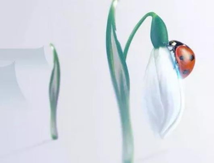 2020年二月十三惊蛰后一天出生男孩好吗,3月6日出生性格(图文)