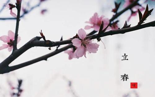 立春前后出生属蛇的人事业运势顺吗 命运简析！(图文)