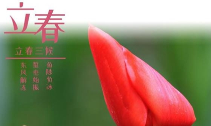 2020年立春日不宜安葬逝者吗,2020年三九四九时间详解！(图文)