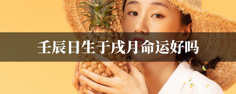 壬辰日生于戌月命运好吗