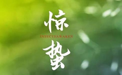 2020年二月十二惊蛰出生属鼠男宝宝五行缺什么,命运好吗？(图文)