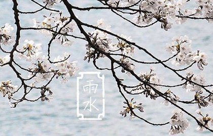 2020年雨水后一天适合安葬逝者吗,关于雨水节气俗语推荐！(图文)