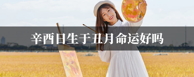 辛酉日生于丑月命运好吗
