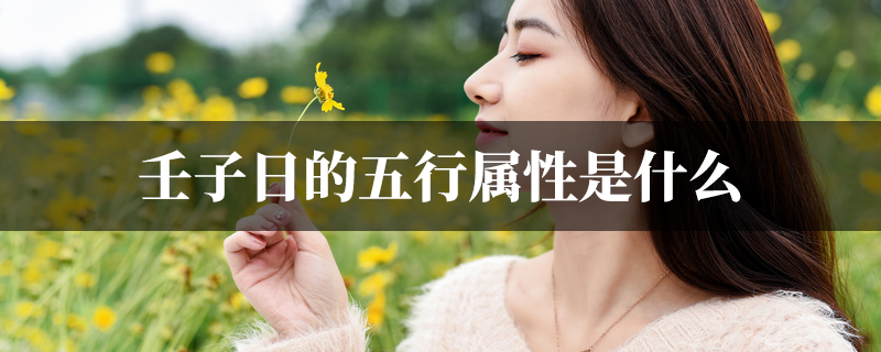 壬子日的五行属性