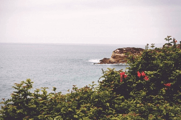 王者荣耀励志保卫国家的经典语录