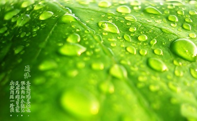 雨水节气有什么物候特征？2020年雨水财神方位查询(图文)