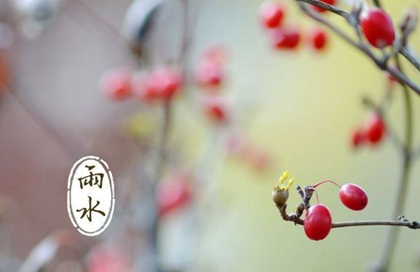 2020年雨水节气可以提车吗,雨水节气回娘家送什么好？(图文)