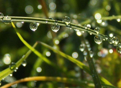 2020年2月19日雨水节气可以上梁吗,2020雨水几点几分几秒？(图文)
