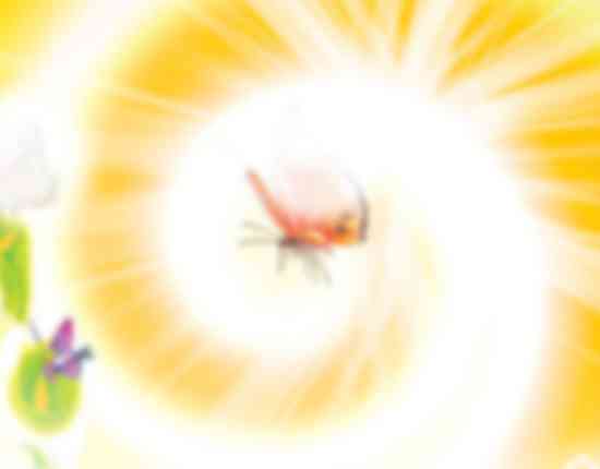 格局法论命