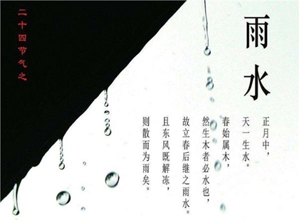 2020年雨水节气可以提车吗,雨水节气回娘家送什么好？(图文)
