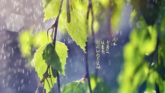 2020庚子鼠年雨水节气日期查询 是在正月什么时候？(图文)