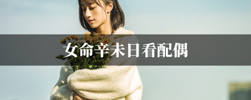 女命辛未日看配偶