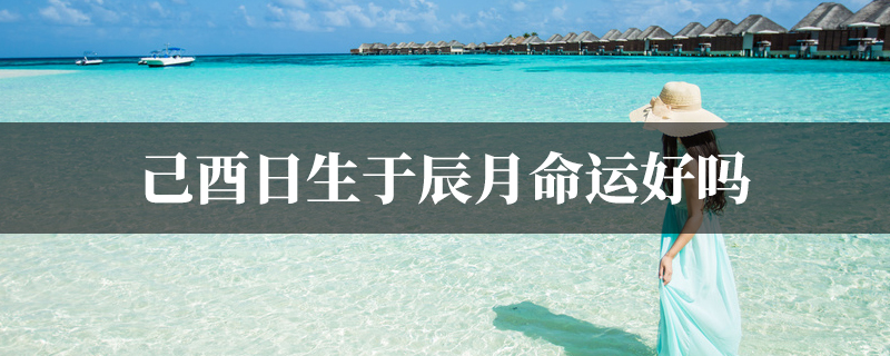 己酉日生于辰月命运好吗