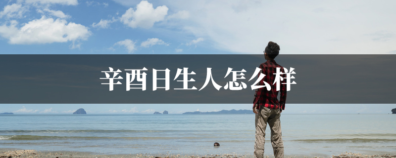 辛酉日生人怎麽样