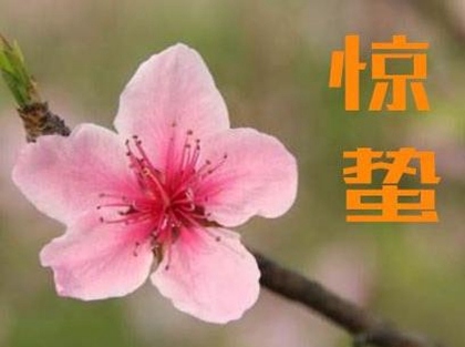 2020年惊蛰前一天二月十一安床好吗,惊蛰几月几日2020？(图文)
