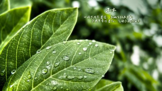 节气雨水有什么寓意 雨水日好吗？(图文)
