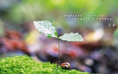 2020年立春日子好不好?立春日子是固定的吗?(图文)