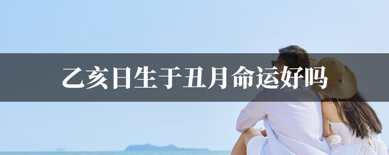 乙亥日生于丑月命运好吗
