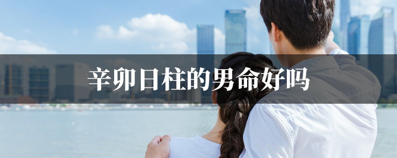 辛卯日柱的男命好吗