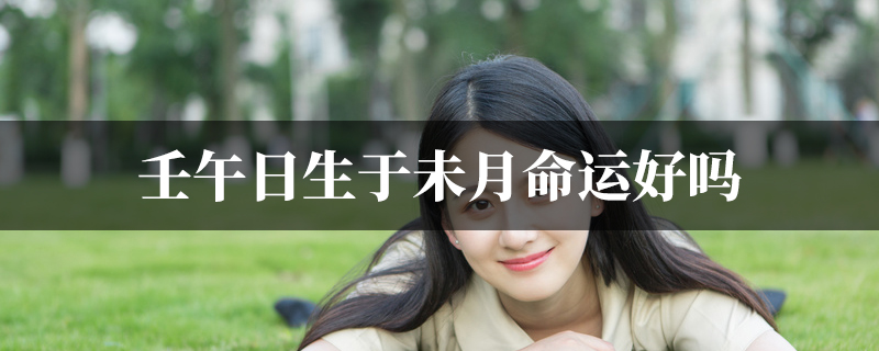 壬午日生于未月命运好吗