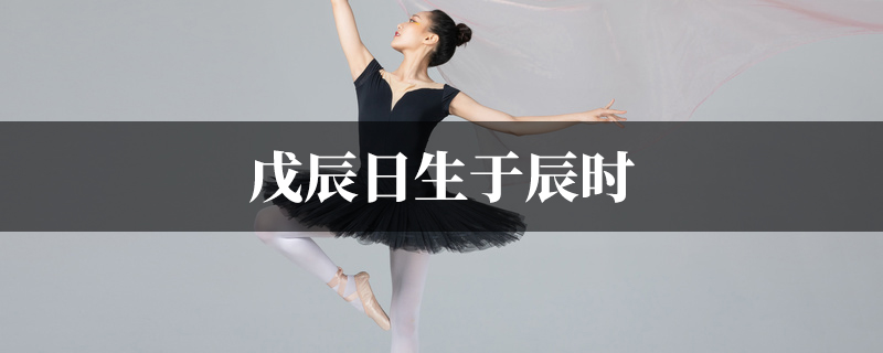 戊辰日生于辰时
