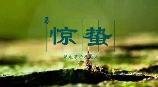 2020年3月5日当天什么时辰是惊蛰 卦象是什么?(图文)