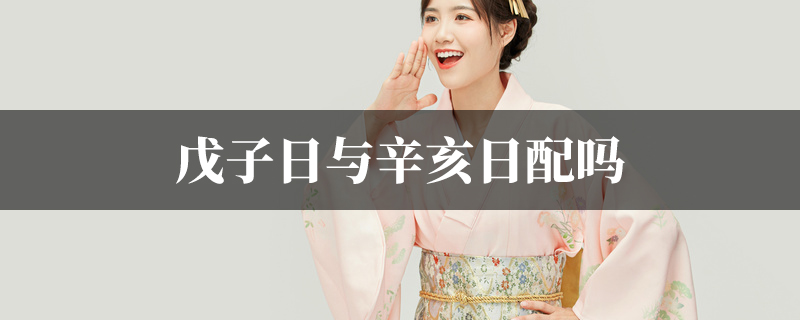 戊子日与辛亥日配吗