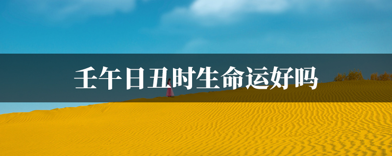壬午日丑时生命运好吗