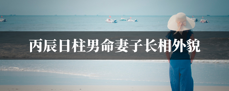丙辰日柱男命妻子长相外貌