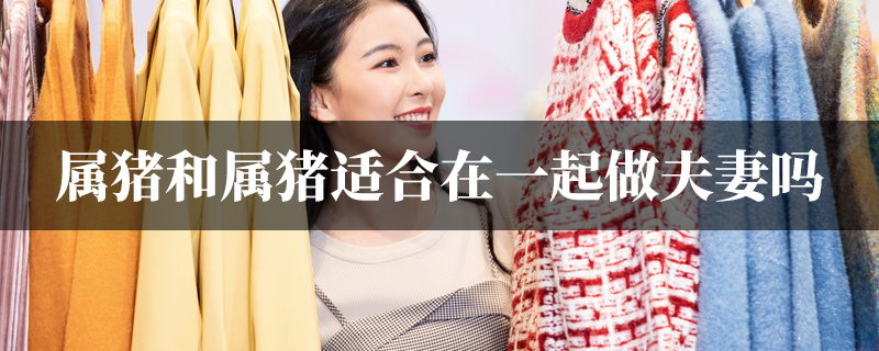 属猪和属猪适合在一起做夫妻吗