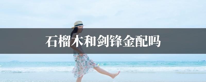 石榴木和剑锋金配吗