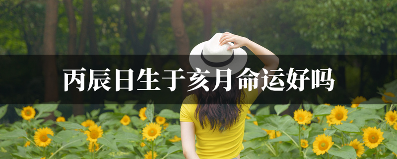 丙辰日生于亥月命运好吗