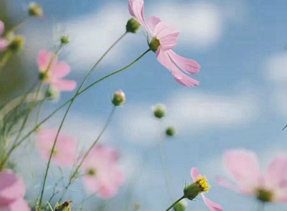 2020年二月廿一修坟吉利吗,3月14日时辰吉凶查询!(图文)