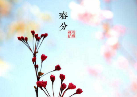 春分节气结婚好不好 结婚有什么传统风俗？(图文)